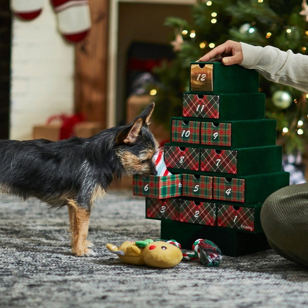Watching Out for Father Christmas Cat Christmas Pet Advent Calendar